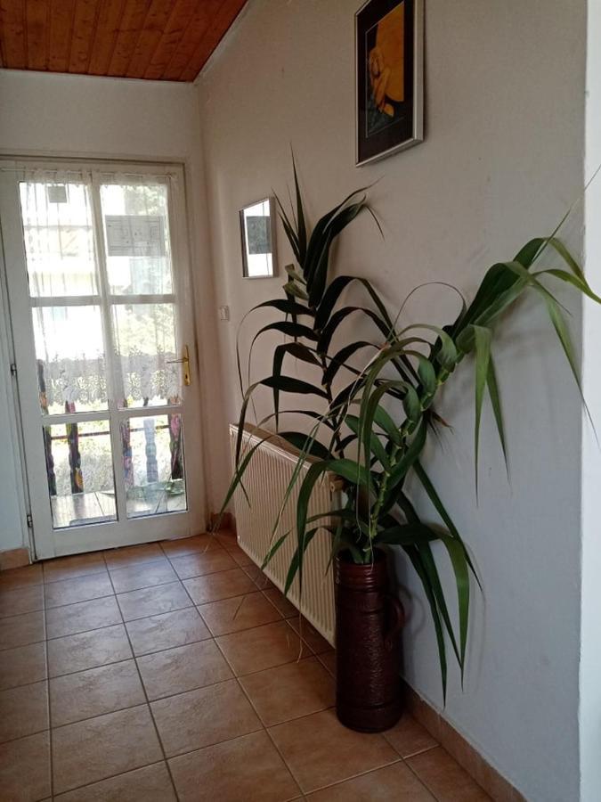 Kekturas-Tora Nyilo Badacsonyi Privat Berlemeny Hotel Badacsonytomaj Eksteriør billede